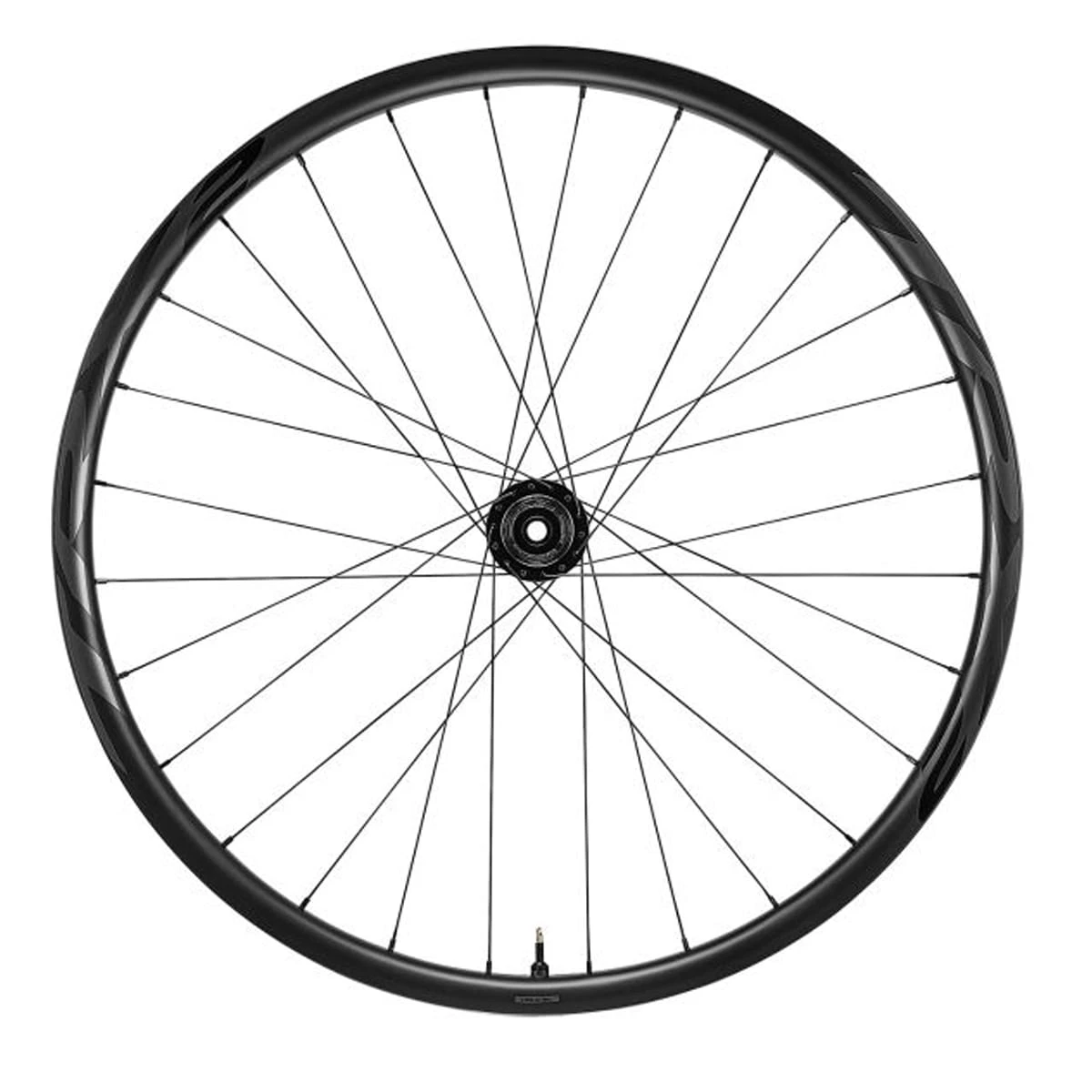 Giant TRX 2 MTB Carbon 29 - Achterwiel - Afbeelding 2