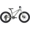 Giant STP 20" Kids Mountainbike - 2023 - Concrete
