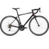 Giant CONTEND 1 - Shimano Sora Road Bike - 2023 - Rosewood